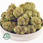Buy Cannabis Presidential OG AAAA at MMJ Express Online Shop