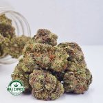 Buy Cannabis Blueberry Bomb AAAA at MMJ Express Online Shop