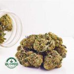 Buy Cannabis Pink Rockstar AAA at MMJ Express Online Shop