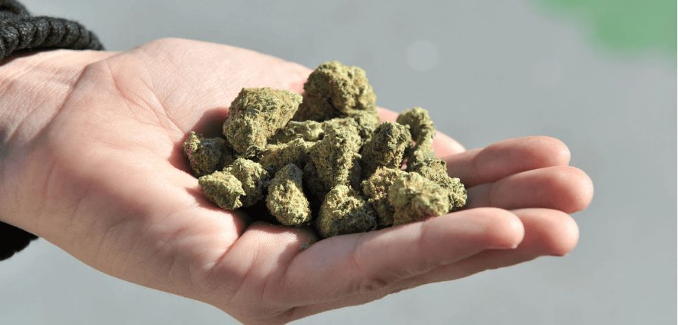 The best thing about an online weed dispensary is that it offers you full access to the best and most intense cannabis products in the world. You'll find dry herbs, concentrates, topicals, and even pet products at the best Canadian online dispensaries. 