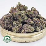 Buy Cannabis Pink Goo AAAA (Popcorn Nugs) at MMJ Express Online Shop