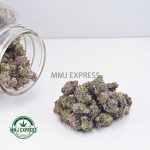 Buy Cannabis Pink Goo AAAA (Popcorn Nugs) at MMJ Express Online Shop