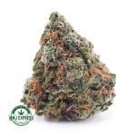 Buy Cannabis Passionfruit Haze AAA at MMJ Express Online Shop