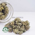 Buy Cannabis Garlic Breath AAAA (Popcorn) at MMJ Express Online Shop