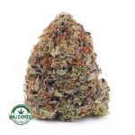 Buy Cannabis Platinum Pink Kush AAAA at MMJ Express Online Shop