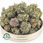 Buy Cannabis Island Maui Haze AAAA (Popcorn Nugs)  at MMJ Express Online Shop