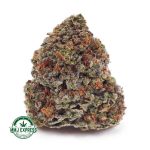 Buy Cannabis Cookie Dough AA at MMJ Express Online Shop