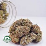 Buy Cannabis Cookie Dough AA at MMJ Express Online Shop