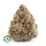 Buy Cannabis Slurricane AAAA at MMJ Express Online Shop