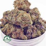 Buy Cannabis Critical Kush AAA at MMJ Express Online Shop