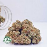 Buy Cannabis Alien Cookies AAA at MMJ Express Online Shop