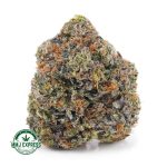 Buy Cannabis God’s Green Crack AAAA at MMJ Express Online Shop