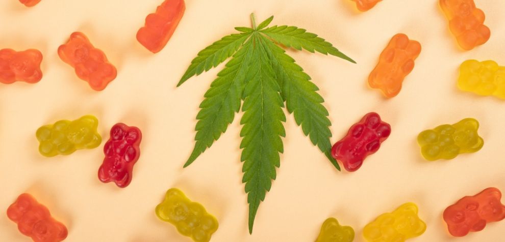 Cannabis candies bring the nostalgic experience of stepping into a candy store as a kid while delivering the therapeutic benefit of weed.