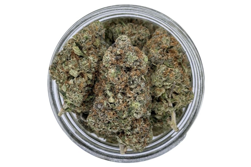 When you crave the calm life like Casper the ghost, Comatose Strain is your ultimate choice for the windup. Order online for the perfect weekend. 