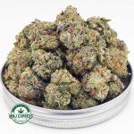 Buy Cannabis Gelato Cake AAAA (Popcorn Nugs) MMJ Express Online Shop