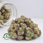 Buy Cannabis Gelato Cake AAAA (Popcorn Nugs) MMJ Express Online Shop