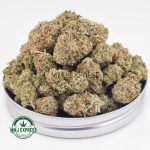 Buy Cannabis Miracle Alien Cookies (MAC) AAAA (Popcorn Nugs) MMJ Express Online Shop