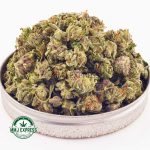 Buy Cannabis Truffle Cake AAAA (Popcorn Nugs) at MMJ Express Online Shop