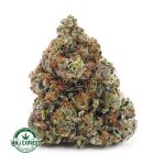 Buy Cannabis Alaskan Thunder Fuck AAAA at MMJ Express Online Shop