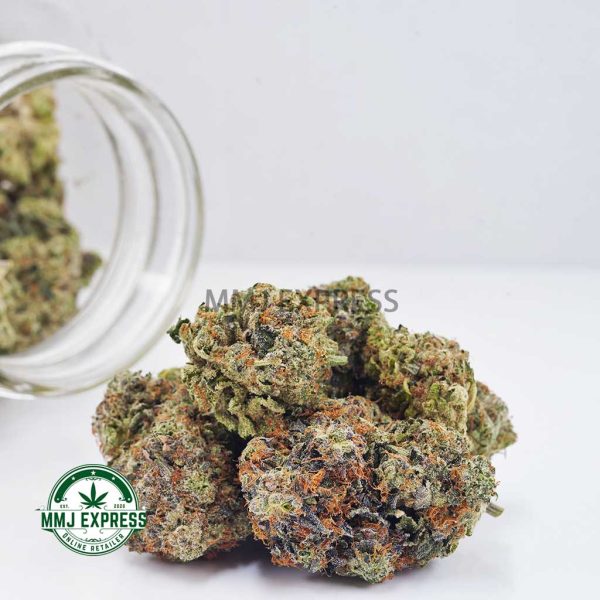 Buy Cannabis Alaskan Thunder Fuck AAAA at MMJ Express Online Shop