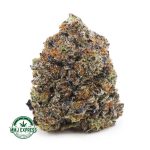 Buy Cannabis Purple Space Cookies Craft, AAAA+ at MMJ Express Online Shop