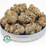 Buy Cannabis Dolato AA at MMJ Express Online Shop