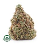 Buy Cannabis Astroboy AA at MMJ Express Online Shop