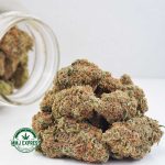 Buy Cannabis Astroboy AA at MMJ Express Online Shop