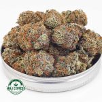 Buy Cannabis Blackberry Haze AAAA at MMJ Express Online Shop