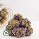 Buy Cannabis Galactic Gas AAA at MMJ Express Online Shop