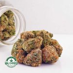 Buy Cannabis Maui Wowie AAA at MMJ Express Online Shop