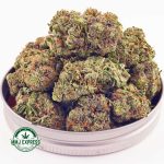 Buy Cannabis King Kong AAA at MMJ Express Online Shop