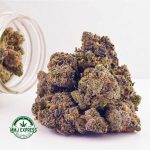 Buy Cannabis Dragon Berry AAAA at MMJ Express Online Shop