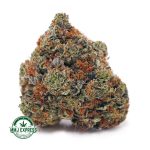 Buy Cannabis Mike Tyson Craft, AAAA+ at MMJ Express Online Shop