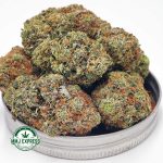 Buy Cannabis Mike Tyson Craft, AAAA+ at MMJ Express Online Shop