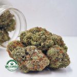 Buy Cannabis Mike Tyson Craft, AAAA+ at MMJ Express Online Shop