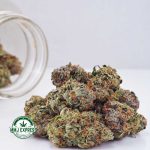 Buy Cannabis Ghost OG AAA at MMJ Express Online Shop