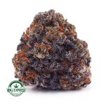 Buy Cannabis UK Cheese AAA at MMJ Express Online Shop