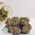 Buy Cannabis Platinum Pink AAAA at MMJ Express Online Shop