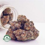 Buy Cannabis Orange Crush AAAA MMJ Express Online Shop