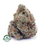 Buy Cannabis Supreme Octane AAAA+, Craft at MMJ Express Online Shop