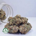 Buy Cannabis Supreme Octane AAAA+, Craft at MMJ Express Online Shop