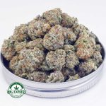 Buy Cannabis Guava Punch AAAA (Popcorn Nugs) MMJ Express Online Shop