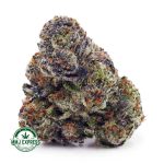 Buy Cannabis Blueberry Bomb AAAA at MMJ Express Online Shop