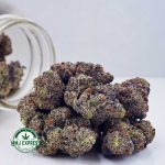 Buy Cannabis Blueberry Bomb AAAA at MMJ Express Online Shop