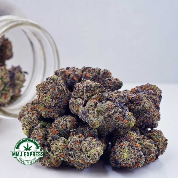 Buy Cannabis Blueberry Bomb AAAA at MMJ Express Online Shop