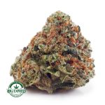 Buy Cannabis Georgia Pie AAA at MMJ Express Online Shop