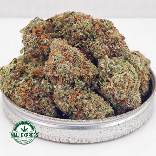 Buy Cannabis Georgia Pie AAA at MMJ Express Online Shop