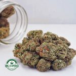 Buy Cannabis Georgia Pie AAA at MMJ Express Online Shop