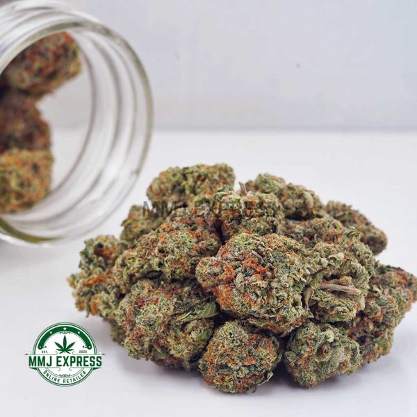 Buy Cannabis Georgia Pie AAA at MMJ Express Online Shop